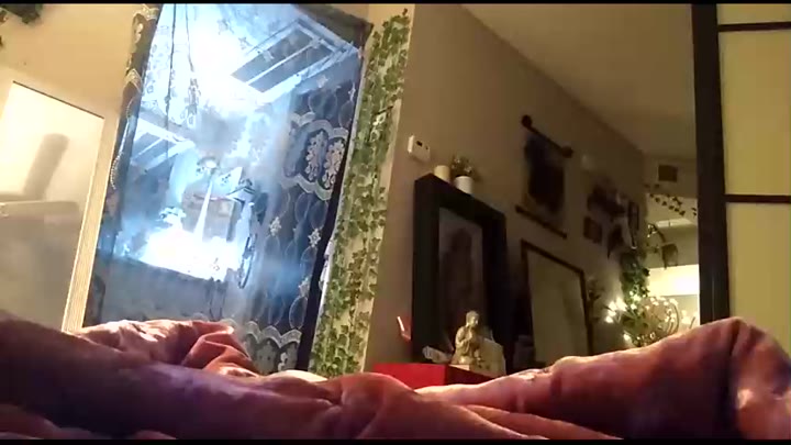 sweetsophia768