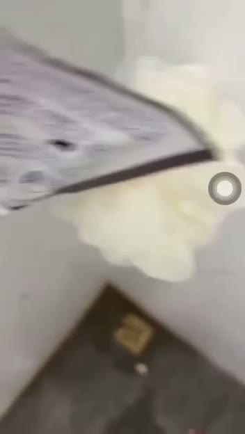 lagi rekam kaget