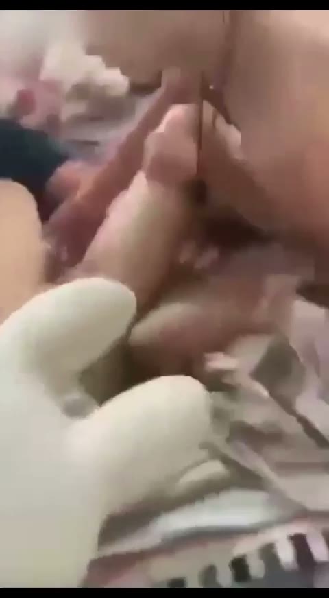 Bokep Indo - Pernah Viral Kerja Kelompok Berujung Dipake