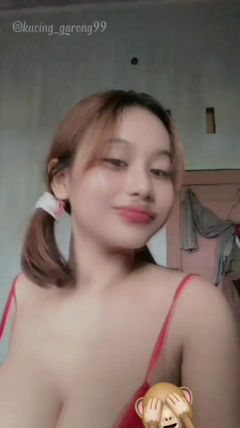 Chelfina 2