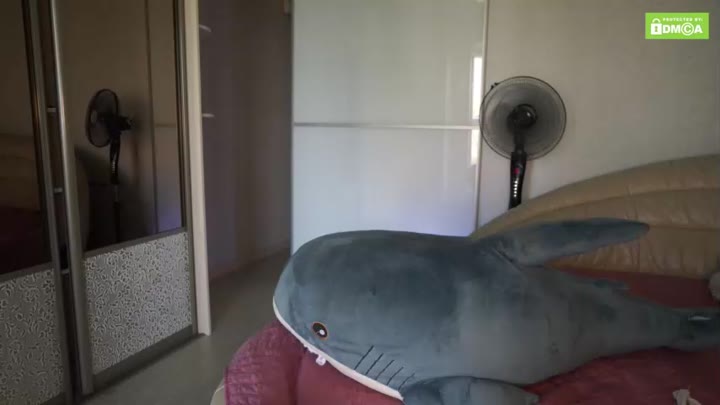 pussy__money__weed