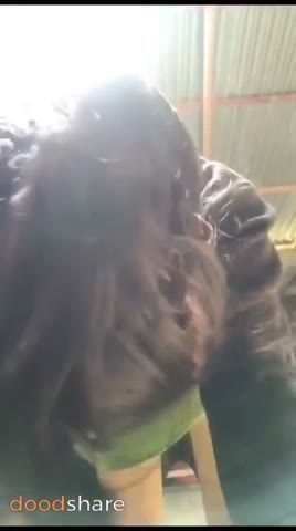 Adek Kaka Ngentot Didapur Hot sekali
