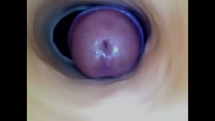 paulainoscente