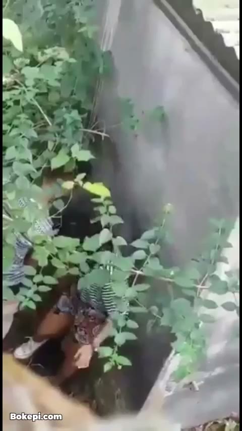 Bokep Indo - Lagi Viral Ngewe Sama Tetangga Samping Rumah