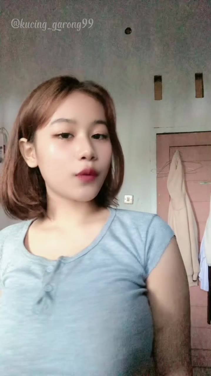 Chelfina 3