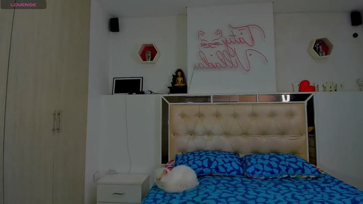 sexyhot_cat