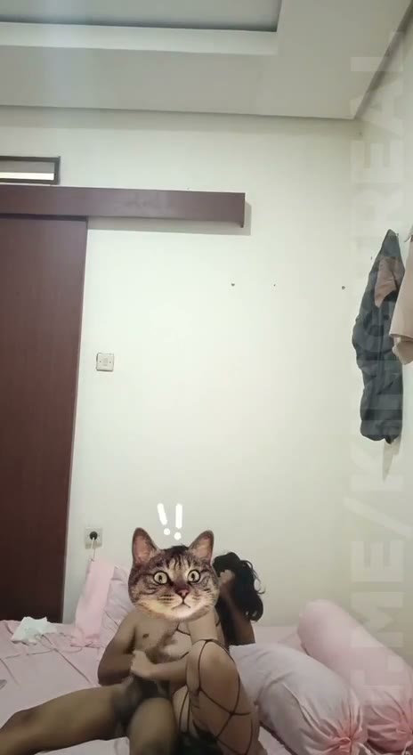 grabnwatch com video (1)