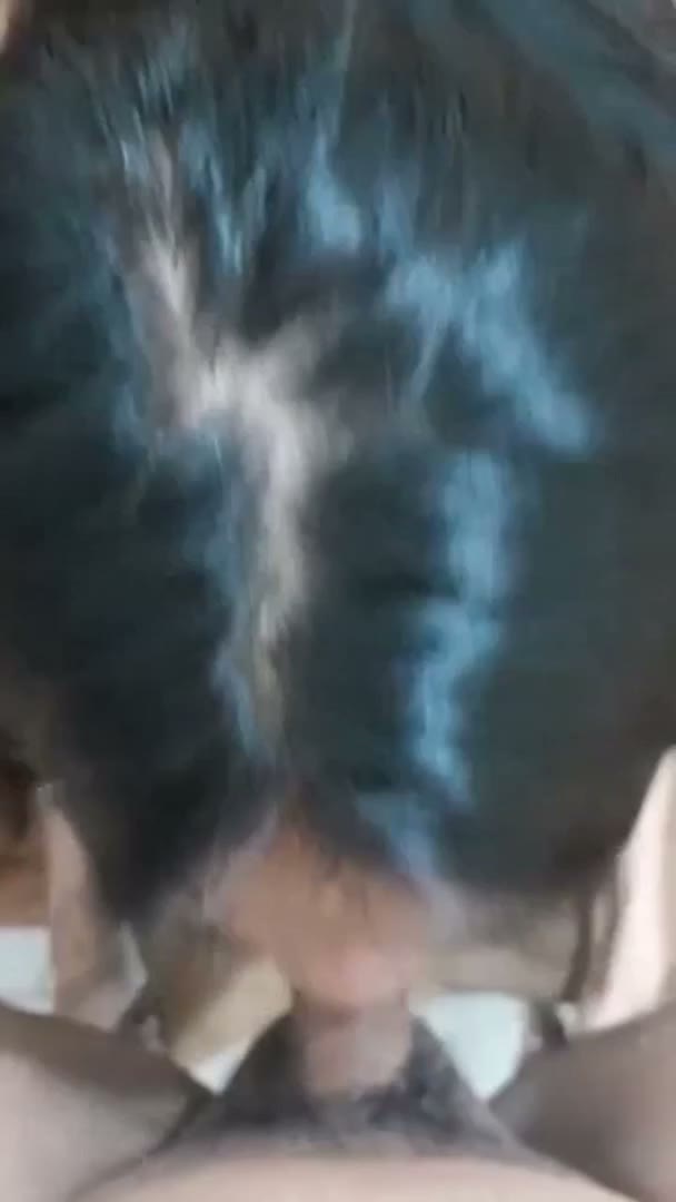 BJ pacarr