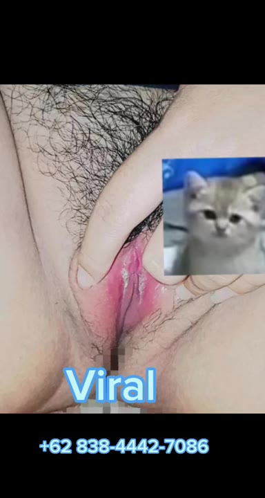 Bokep Smp Belajar Colmek Bacoltube Video Viral Cilbo Bokepsatset Bebasindo Bokep31