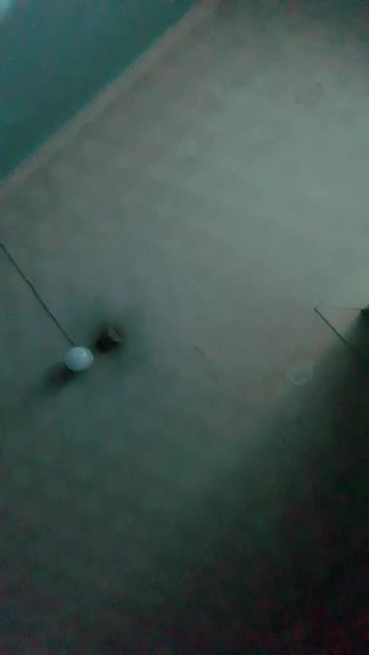 Netek Dan Jilmek Pacar Cantik Di Kosan Kimcilonly Ur Poophd Doodsflix Ful