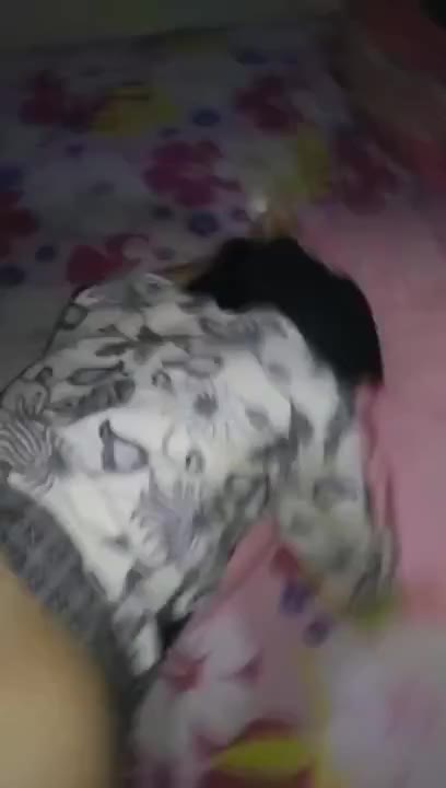 Pacaran Sama Cewek Jilbab Bisa Ngewe Doods Pro Live Poophd Telegram Doodstream
