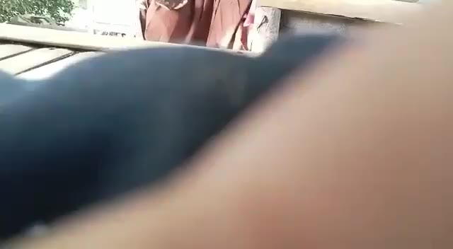 Abg Sma Seragam Pramuka Dood Stream Video Simintok Telegram Asupan Viral Bokepsin
