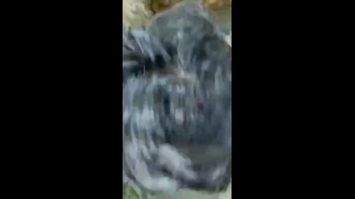 Memang Paling Enak Sambil Berenang Cilbo Indo Indonesia Lulustream Terupdate