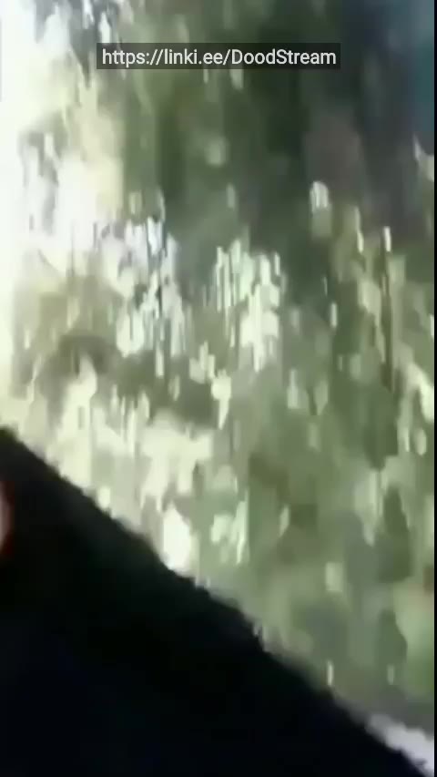 Bokep Smp Outdoor Bareng Doi Simontok Memeksiana Downloader Tele Video Sma