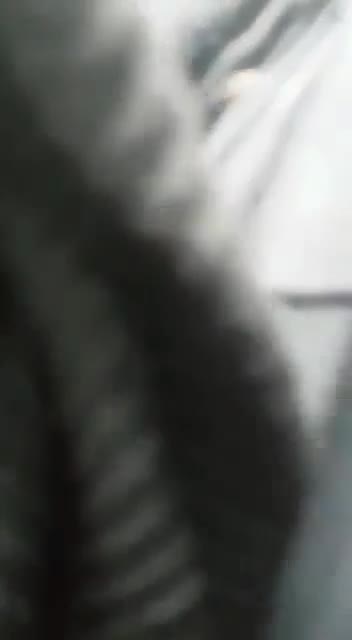 Dijepit Terus Diemut Sama Cewek Timur Tengah