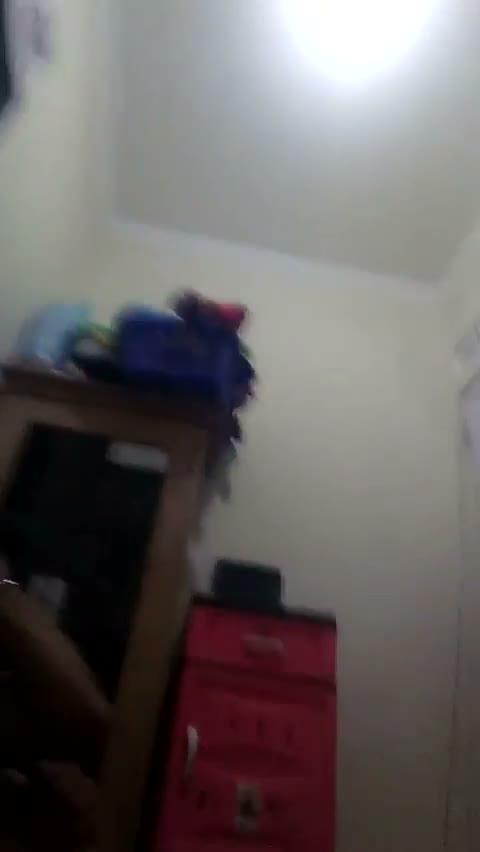 ssstwitter com 1770148866361