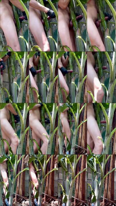 Kontol Gede Ngewe Pohon Pisang