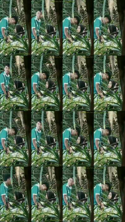 hijab kocok kontol di hutan