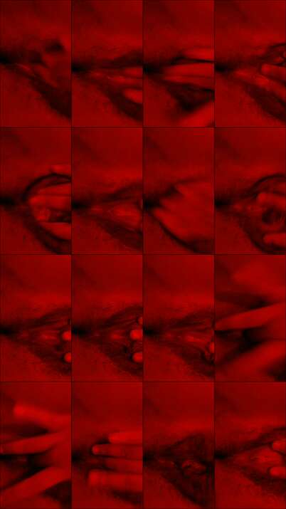 VID-20200405-WA0100