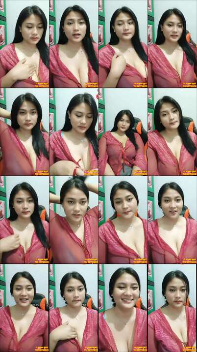 DMX DEWI 29
