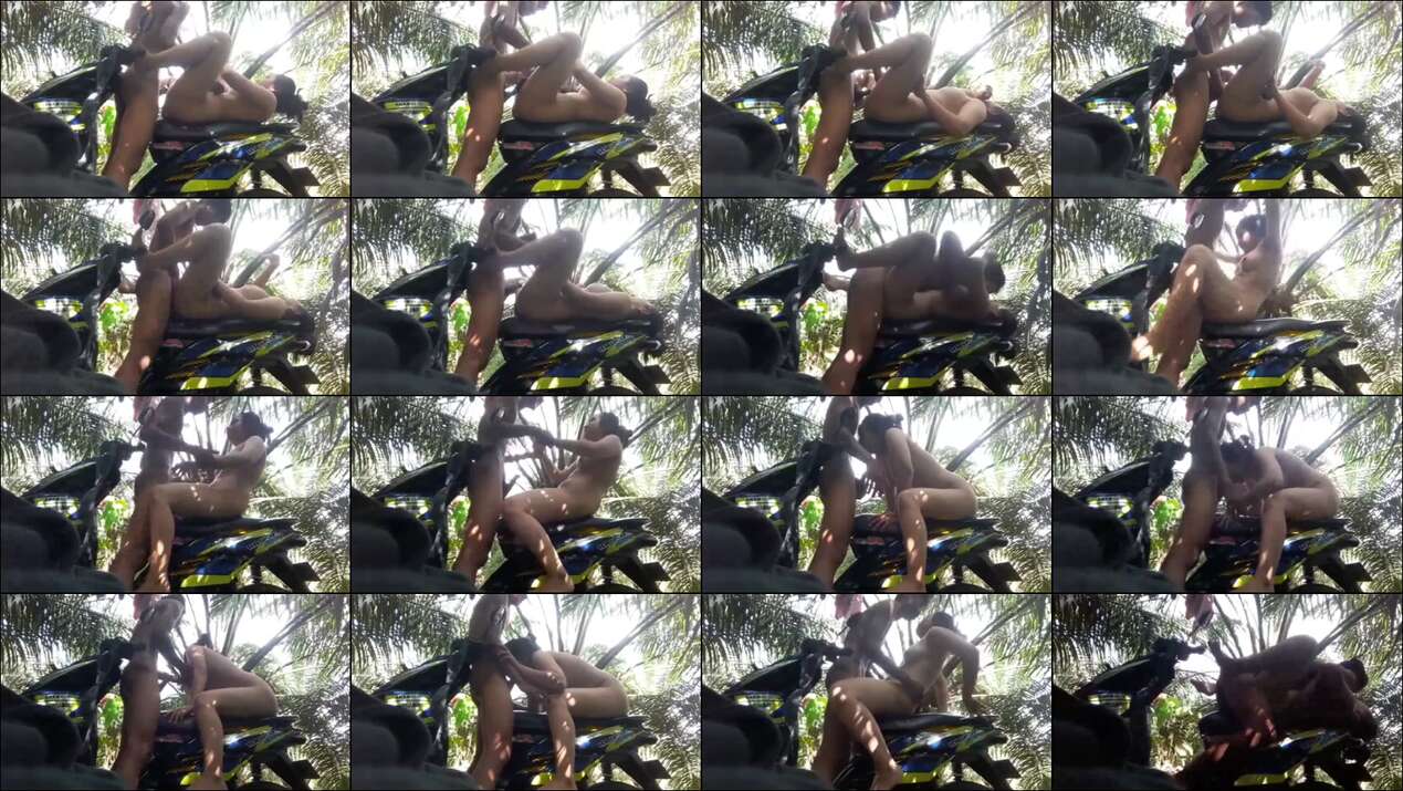 ngentot abg diatas motor di hutan sawit
