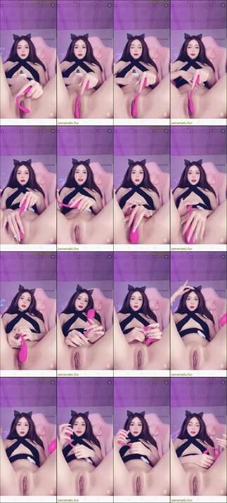 kucing liar colmek